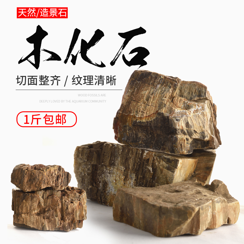 硅化木松皮石观赏包邮鱼缸造景