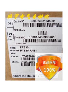 阻旋物位料位计FTE30-FAB1阻旋料位开关FTE30-FA21德国E+H