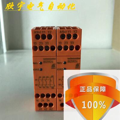 原装正品安全继电器BG5924 BG5924 BG5924.48 现货