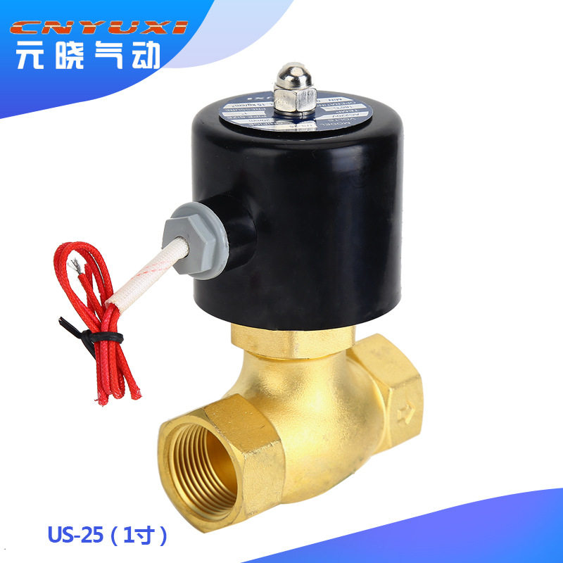 黄铜蒸汽阀US/2L-15 20 25 32 40 50耐高温高压电磁阀24V220V
