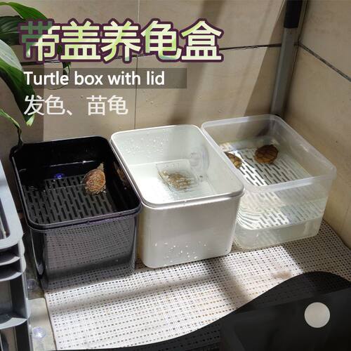 发色观背青鳉收纳盒黑白乌龟