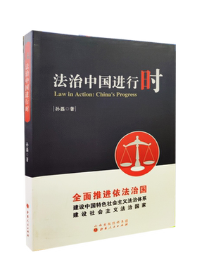 法治中国进行时法律正版包邮