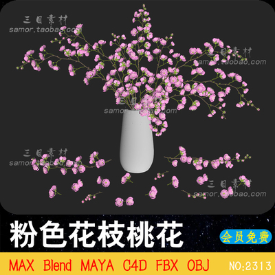 MAX粉色花朵花枝桃花装饰陶瓷花瓶C4D设计素材MAYA三维3D模型FBX