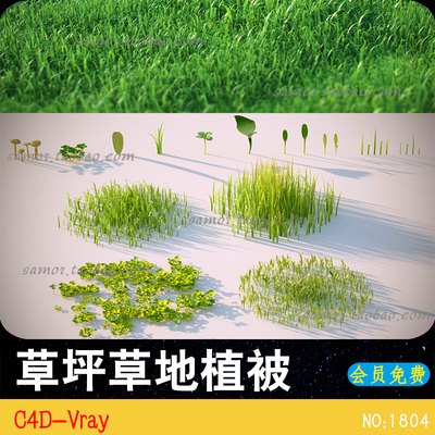 草坪草地植被C4D-Vray小草野草杂草草丛3D模型设计素材文件