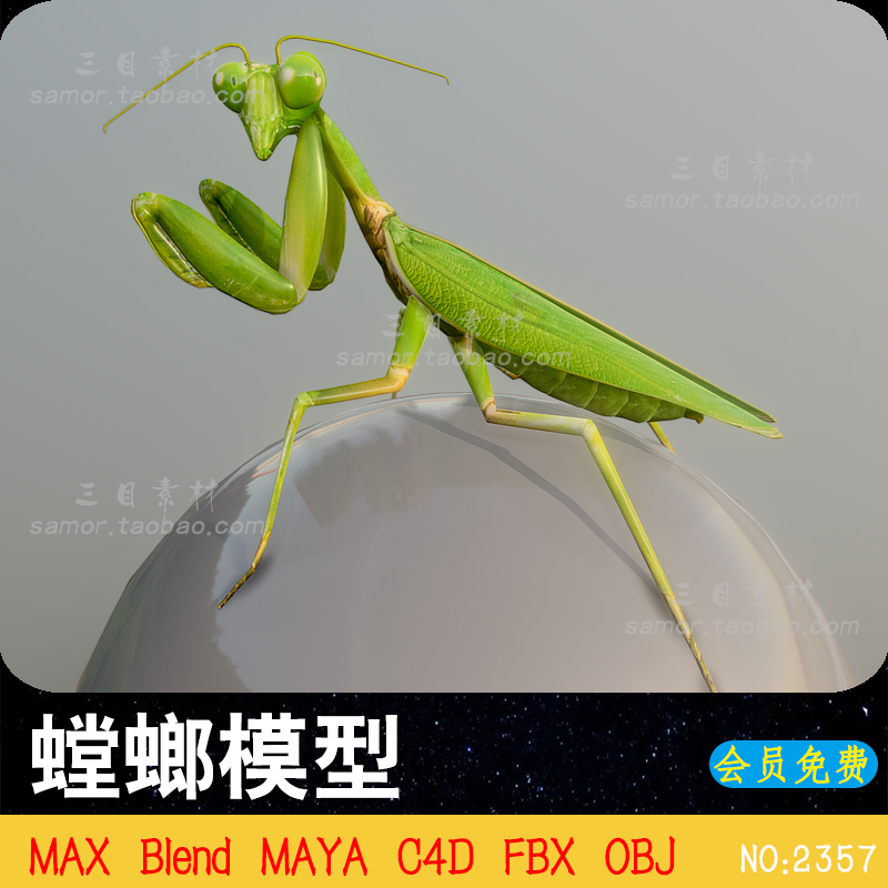 写实卡通螳螂模型高清逼真昆虫C4D设计素材MAX建模FBX渲染Blender