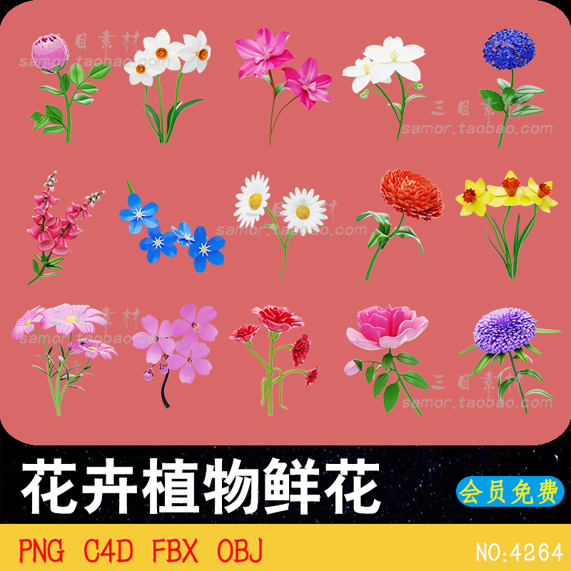 花卉鲜花植物花朵郁金香花枝仙人球菊花C4D素材源文件OBJ模型FBX