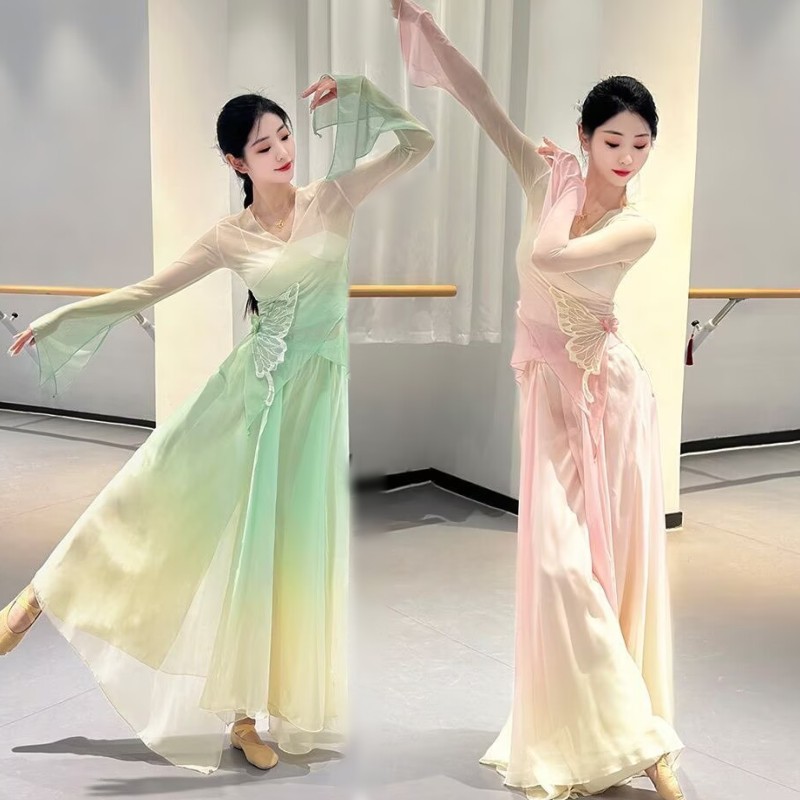 古典舞新款身韵蝴蝶渐变纱衣套装