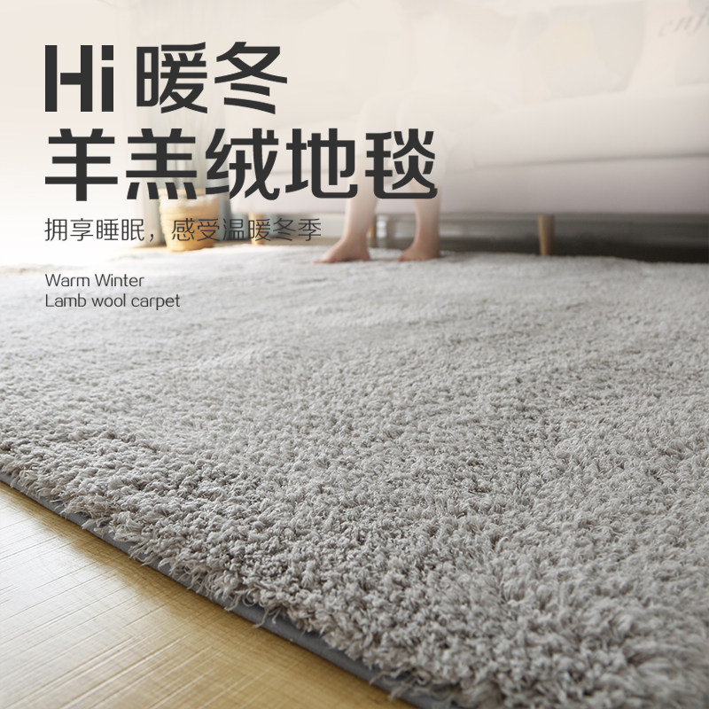 加厚卧室地毯客厅柔软羊羔绒地垫