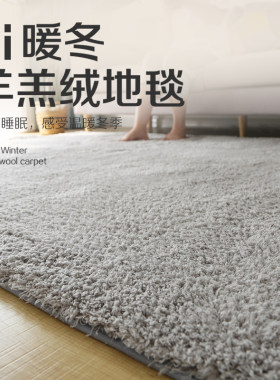 加厚卧室地毯客厅柔软羊羔绒地垫