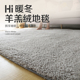 柔软加厚羊羔绒客厅地毯纯色高级简约卧室床边毯毛绒绒飘窗垫地垫