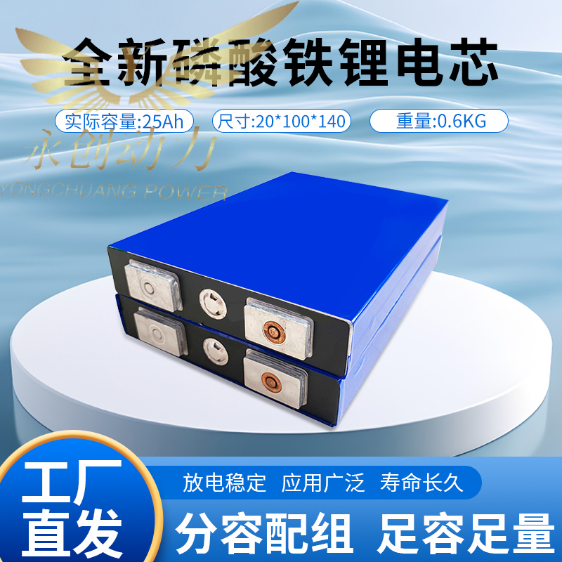 全新国轩12V25/30电动车磷酸铁锂