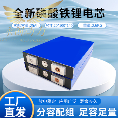全新国轩12V25/30电动车磷酸铁锂