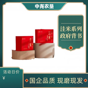 2025年盐粳香米盘锦大米新品种洼米一号