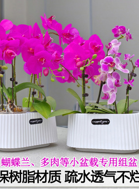 蝴蝶兰专用盆简约欧式精致花盆小盆栽绿植多肉矮钵创意椭圆异形盆
