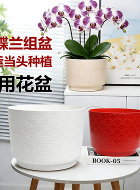 简约暗纹圆形蝴蝶兰花盆鸿运当头种植盆PP树脂花钵白色红色杏色盆