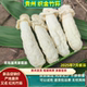 贵州织金竹荪干货竹笙竹参厚肉新鲜红托竹荪短裙竹孙干竹荪土特产