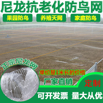 防鸟网尼龙草莓大棚果树樱桃葡萄果园防鸟用网青蛙养殖网鱼塘天网