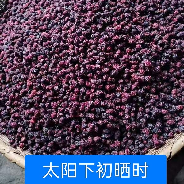 杨梅干原味农家自晒新鲜野生酸杨其它