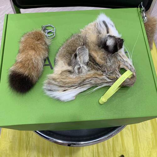 手工diy标本摆件专用真毛天然皮草真皮原料可爱猫兽耳发饰cos道具