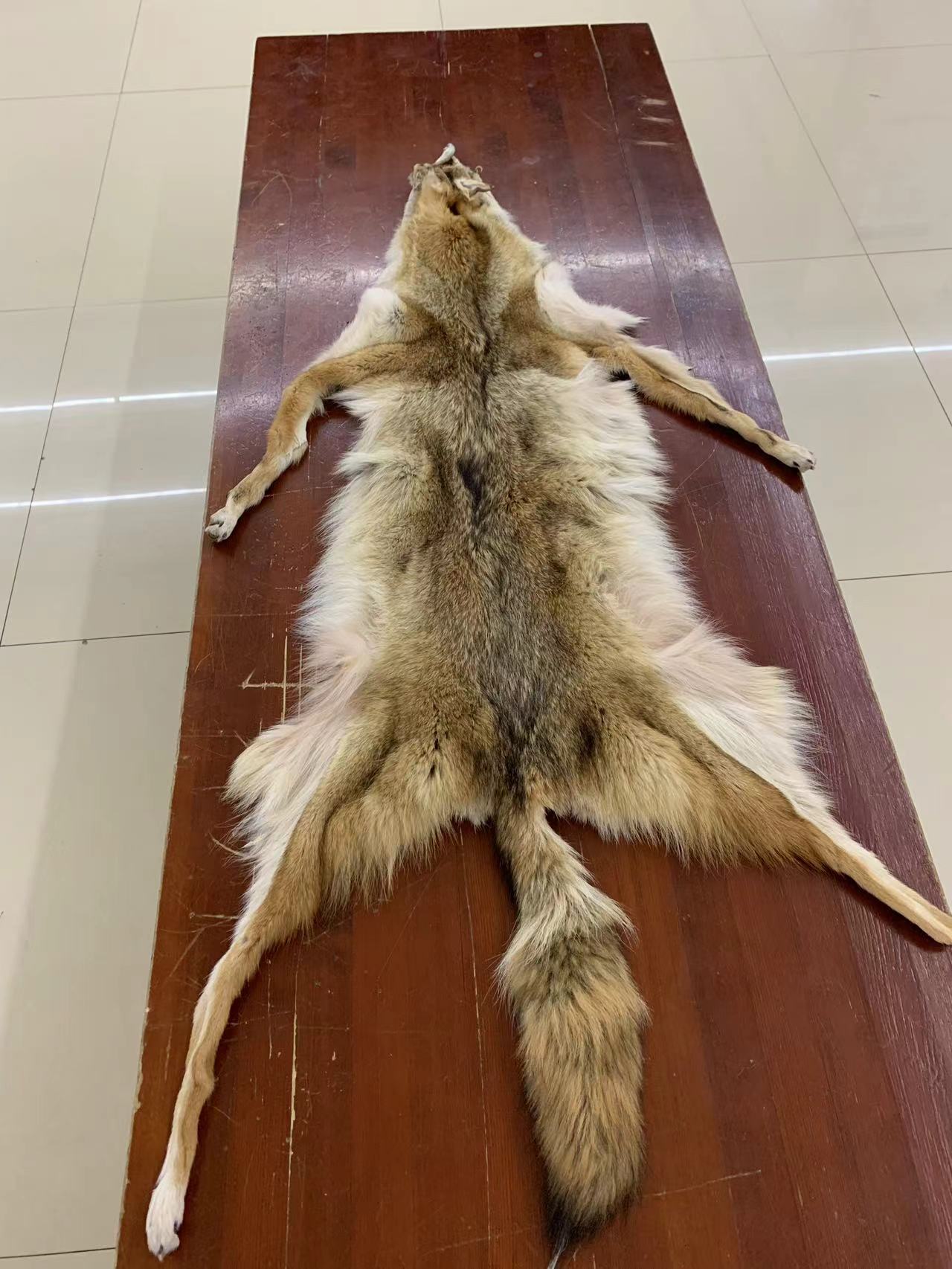 整张兽皮装饰真毛皮草毯子进口郊狼皮毛一体垫子沙发垫坐垫飘窗垫