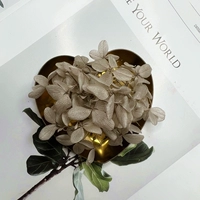 Коричневый 1G