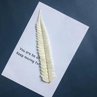 Кусок белого около 10-15 см