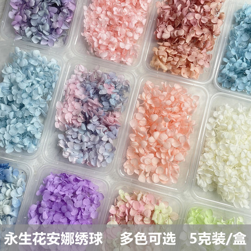 永生花绣球5克装盒装安娜绣球