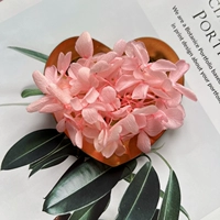 Новый розовый 1G