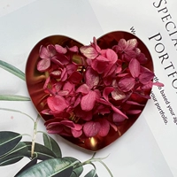 Золото -сплановая роза красный 1G