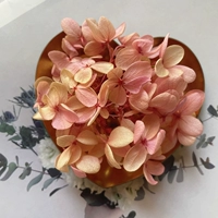 Хаки цветной персиковой розовый цвет 1G