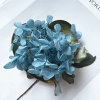 Павлин синий ярко -синий 1g