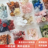 永生花干花材料包DIY相框贴画团扇浮游 团建活动花艺课手工花料包