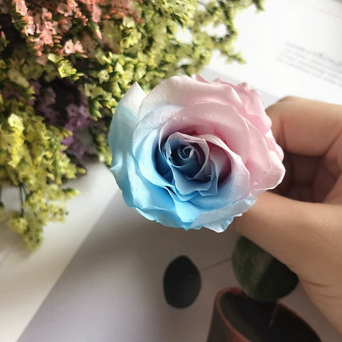 Вечная жизнь цветок цветок DIY Материал Bless B класс 4-5 одноцветная розовая голова роза подарок подарок ручной работы ручной работы