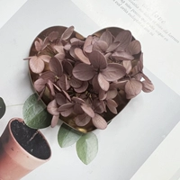 Градиент Milk Tea Purple 1G