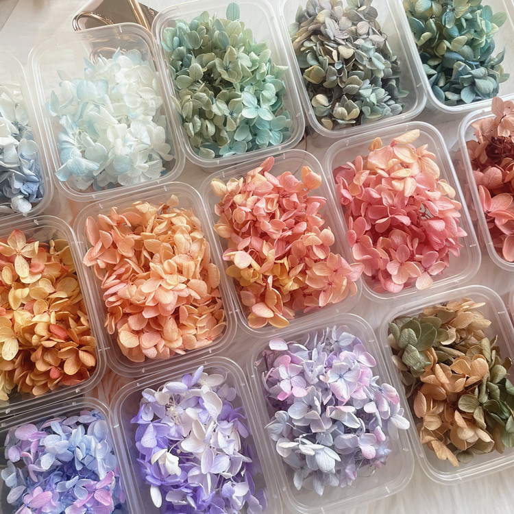 永生花材料DIY绣球花 彩色渐变贴脸木绣球暴力熊花瓣材料四克装