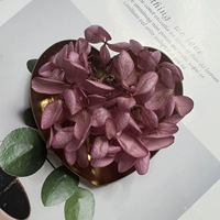 Темно -фиолетовый 1G