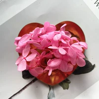 Глубокий яркий порошок 1G