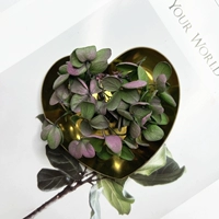 Цветочная осень 1G