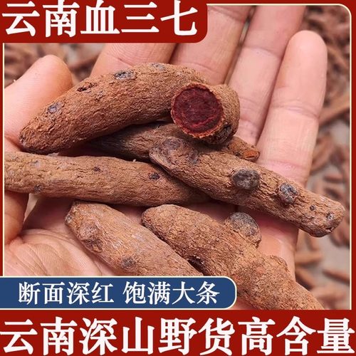 血三七龙血参野生正品云南红三七泡酒中缅边境阿松现收云南农产品