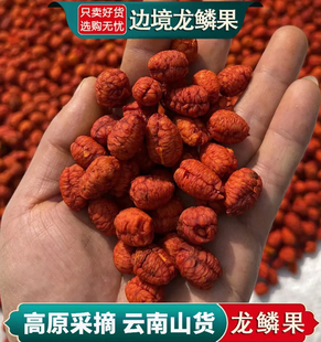 龙鳞果野生高山好货正品新货无硫泡水煮水煲汤阿松现收