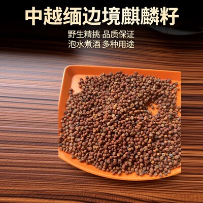 麒麟籽中越缅野生五籽精挑好货泡水 煮水泡酒阿松现收云南山货