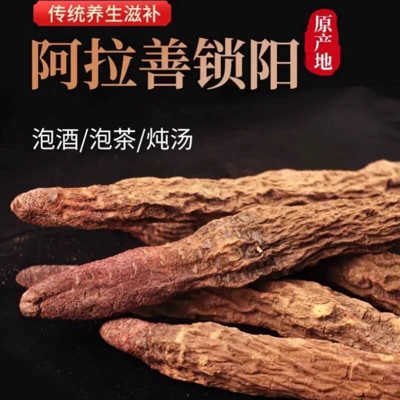 金锁阳野生正品新货泡水喝中缅边境云南现收泡酒滋补养生