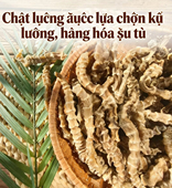 越皇根 泡酒煲汤煮水 越南野生干货中越缅边境阿松精选发货正品