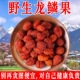 龙鳞果精品好货高山野生新货无硫泡水煮水滋补养生阿松现收