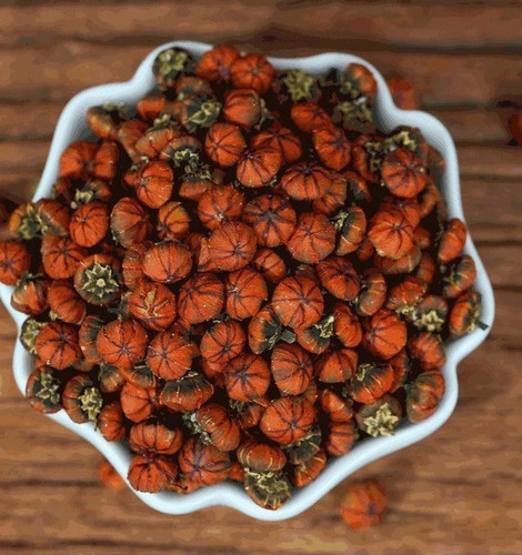 云南九品金 兰高山好货正品新货无硫泡水煮水中缅边境阿松现收