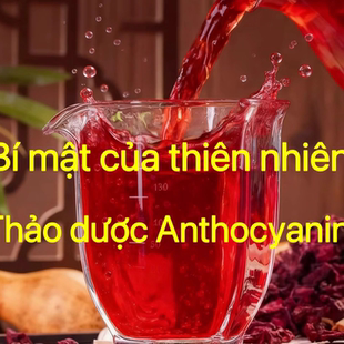 越王神果  精选精品包邮发货中缅边境阿松现收云南山货滋补养生