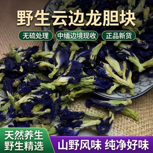 云边龙胆 云南中缅边境高山高海拔农家现收野生蓝莲花 青霄莲正品