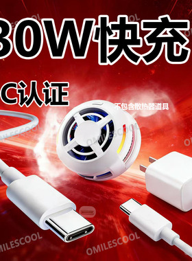 适用飞智B9/B9X磁吸散热器充电器30W快充B8/B8X/EVA/B7/B7X手机散热器充电线