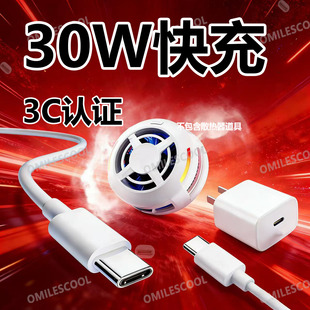 EVA 适用飞智B9 B9X磁吸散热器充电器30W快充B8 B8X B7X手机散热器充电线