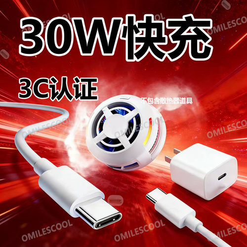 适用飞智B9/B9X磁吸散热器充电器30W快充B8/B8X/EVA/B7/B7X手机散热器充电线